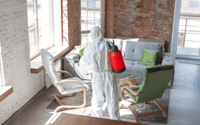 How to Start a Successful Mold Remediation Business
